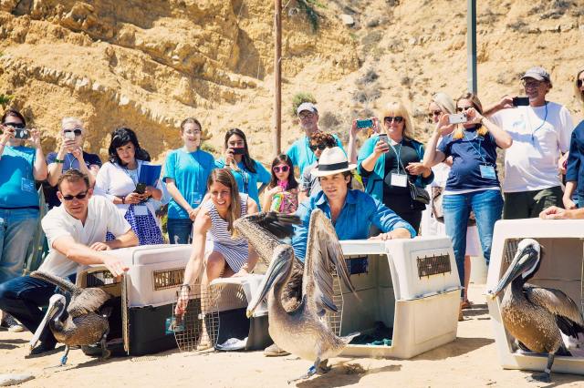 11741167_923624631009396_4378922193023840361_o