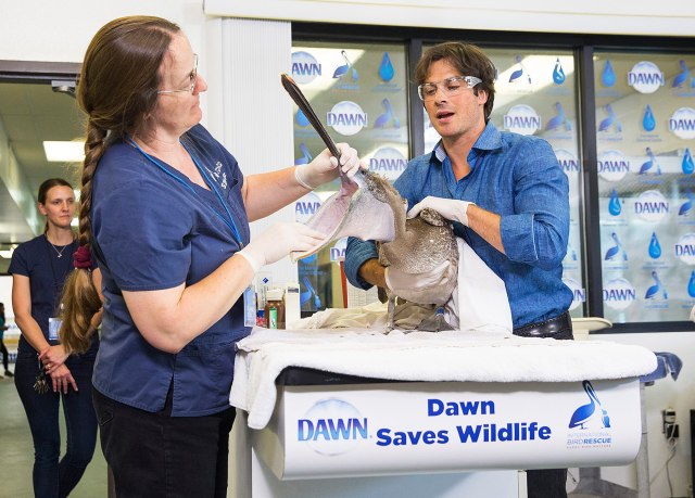 11741235_923624624342730_1502652952366820771_o